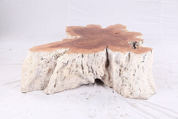 Organic Lychee Block Coffee Table W3