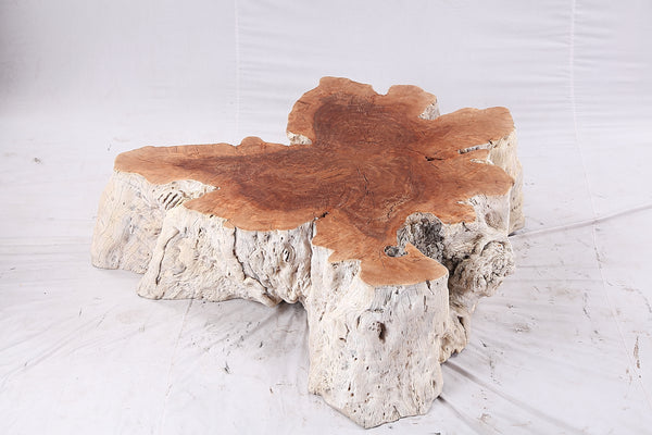 Organic Lychee Block Coffee Table W3