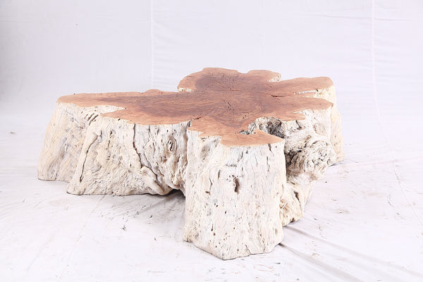 Organic Lychee Block Coffee Table W3