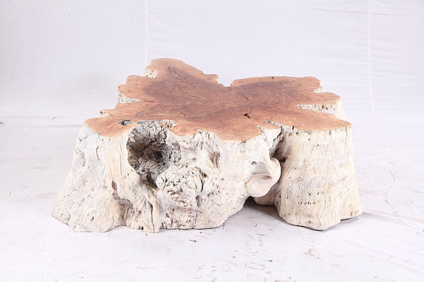 Organic Lychee Block Coffee Table W3