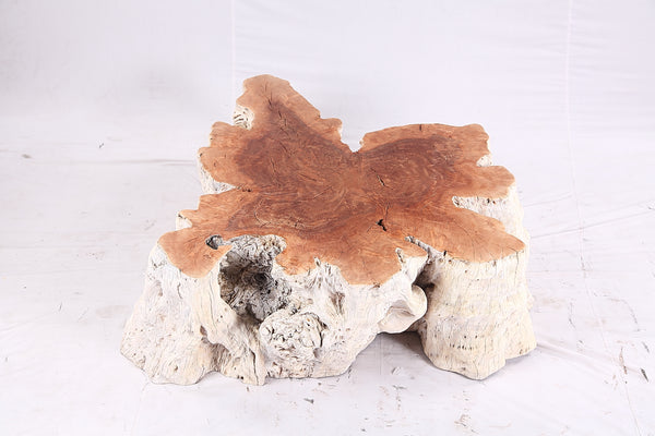 Organic Lychee Block Coffee Table W3