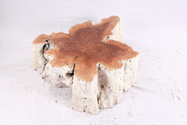 Organic Lychee Block Coffee Table W3