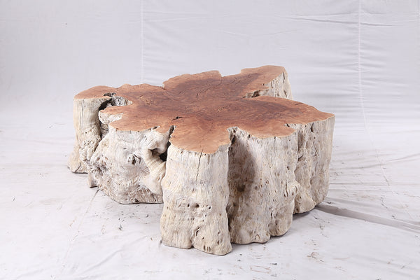 Organic Lychee Block Coffee Table W3