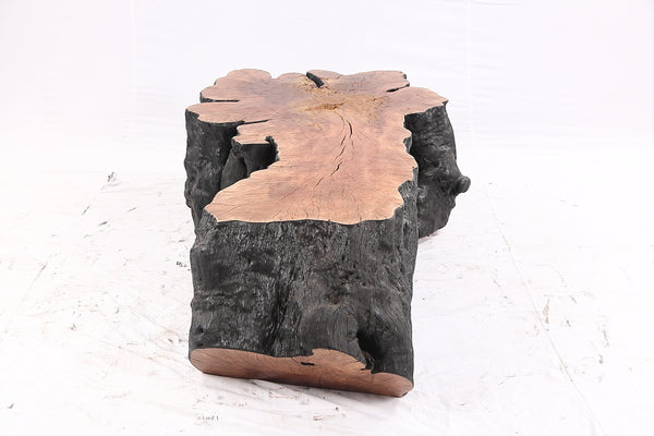 Organic Lychee Block Coffee Table B1