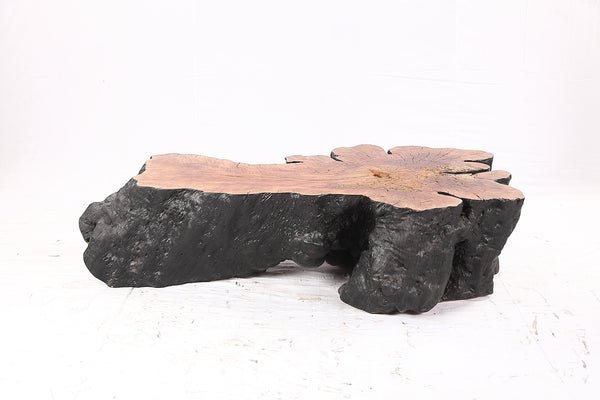 Organic Lychee Block Coffee Table B1