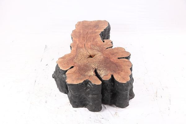 Organic Lychee Block Coffee Table B1