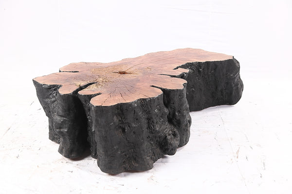 Organic Lychee Block Coffee Table B1