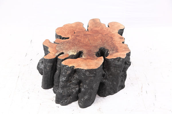 Organic Lychee Block Coffee Table B2