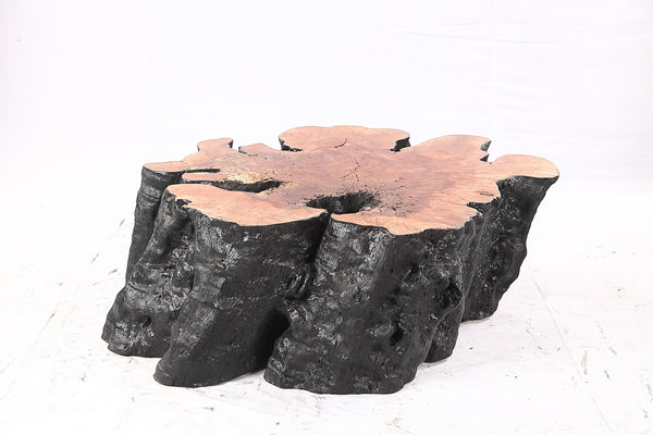 Organic Lychee Block Coffee Table B2