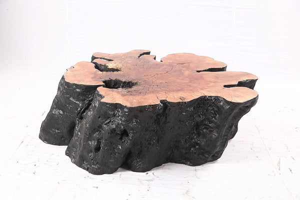 Organic Lychee Block Coffee Table B2