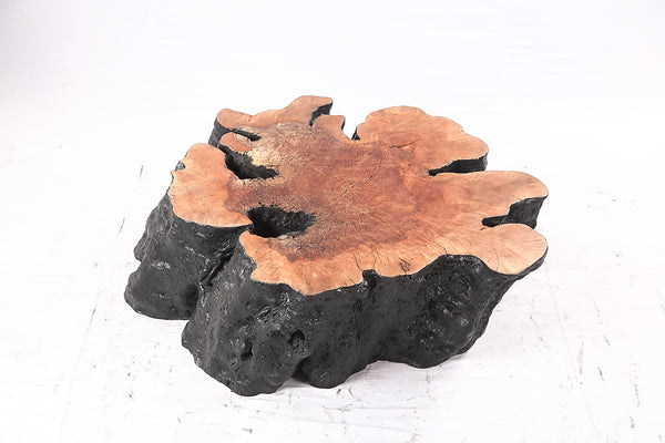 Organic Lychee Block Coffee Table B2