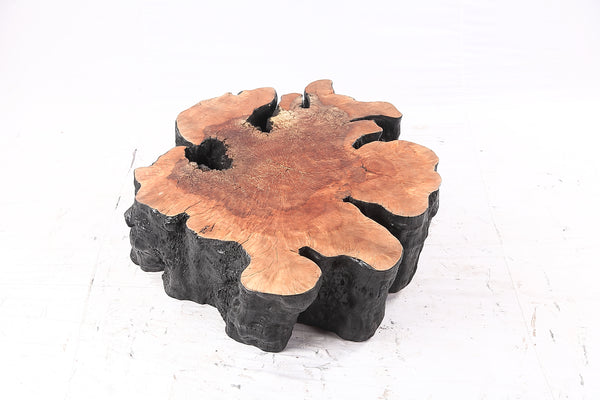 Organic Lychee Block Coffee Table B2