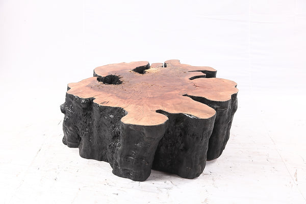 Organic Lychee Block Coffee Table B2