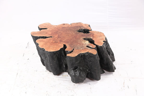 Organic Lychee Block Coffee Table B2