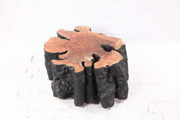 Organic Lychee Block Coffee Table B2