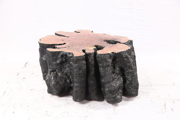 Organic Lychee Block Coffee Table B2