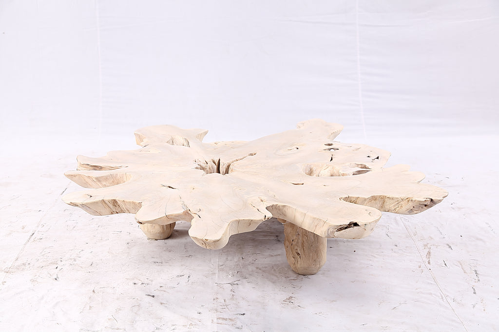Free Form Living Edge Bleached One Slab Coffee Table 282