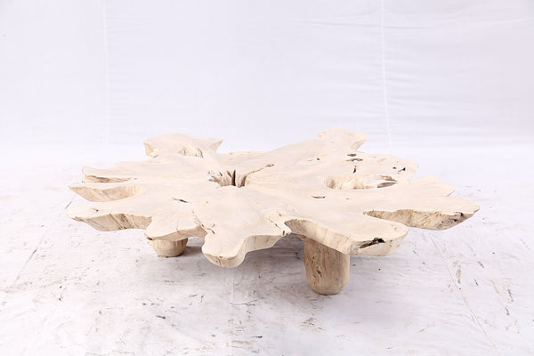 Free Form Living Edge Bleached One Slab Coffee Table 282