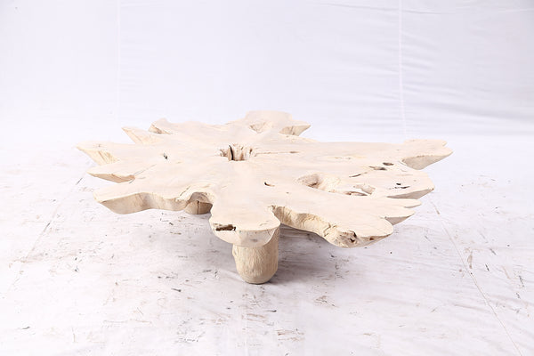 Free Form Living Edge Bleached One Slab Coffee Table 282