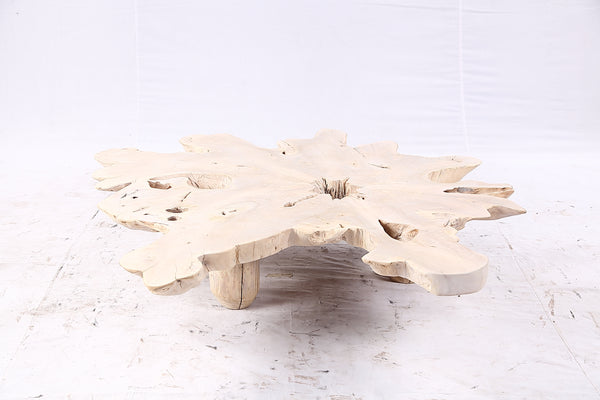Free Form Living Edge Bleached One Slab Coffee Table 282