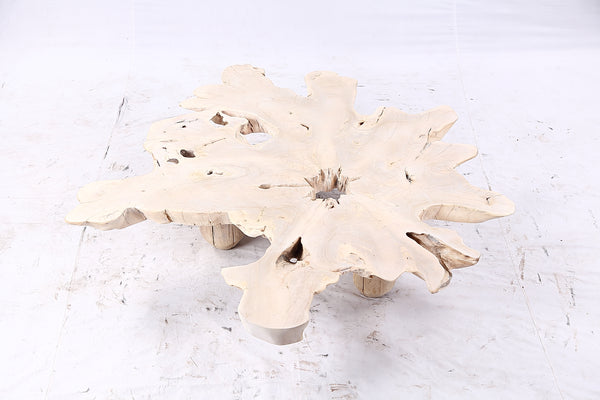 Free Form Living Edge Bleached One Slab Coffee Table 282
