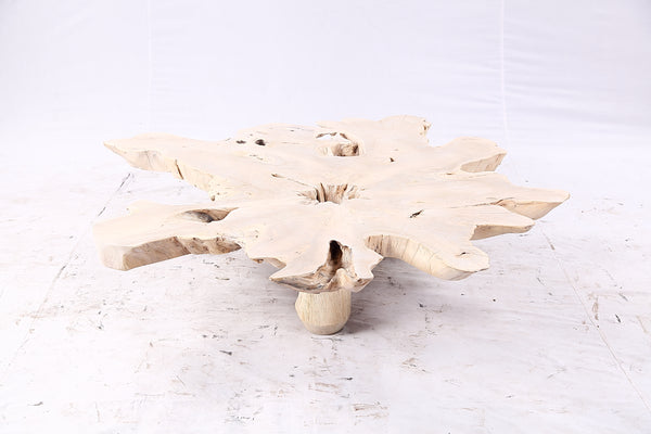 Free Form Living Edge Bleached One Slab Coffee Table 282