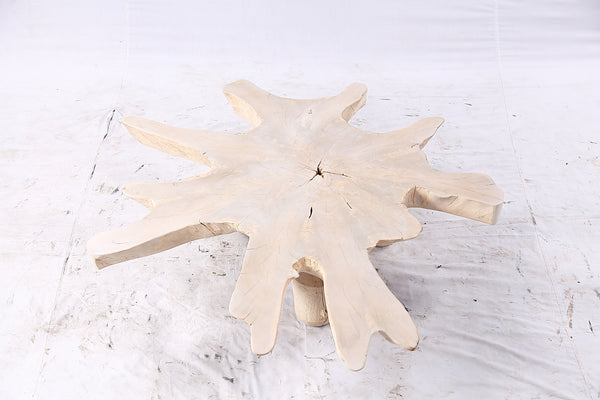 Free Form Living Edge Bleached One Slab Coffee Table 284