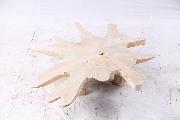 Free Form Living Edge Bleached One Slab Coffee Table 284