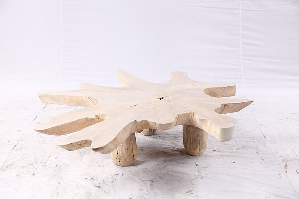 Free Form Living Edge Bleached One Slab Coffee Table 284