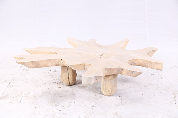 Free Form Living Edge Bleached One Slab Coffee Table 284