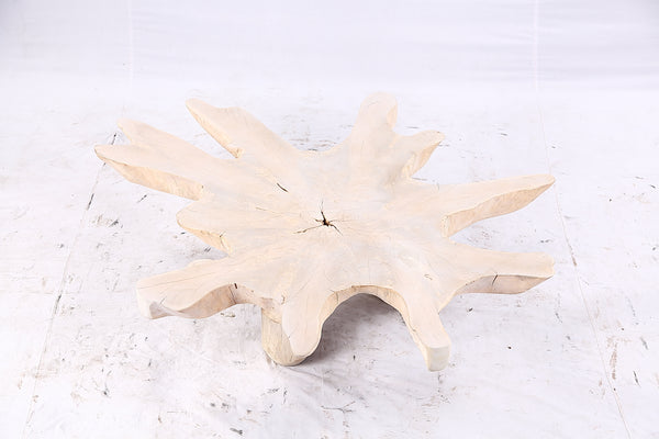 Free Form Living Edge Bleached One Slab Coffee Table 284