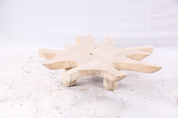 Free Form Living Edge Bleached One Slab Coffee Table 284