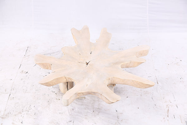 Free Form Living Edge Bleached One Slab Coffee Table 284