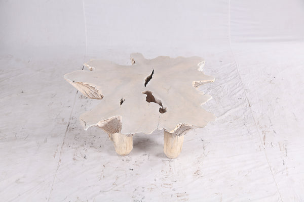 Bleached Free Form Living Edge Coffee Table 34
