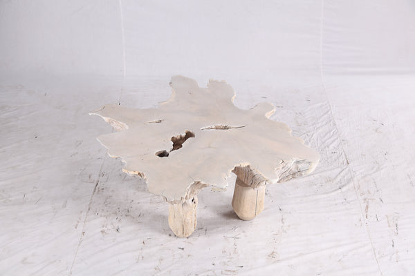 Bleached Free Form Living Edge Coffee Table 34