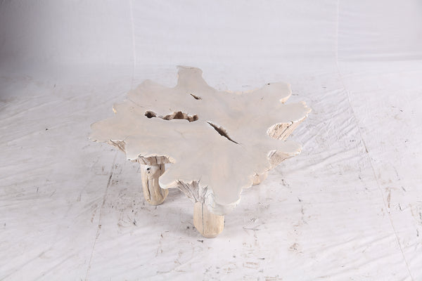 Bleached Free Form Living Edge Coffee Table 34
