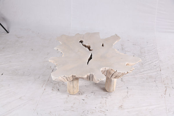 Bleached Free Form Living Edge Coffee Table 34