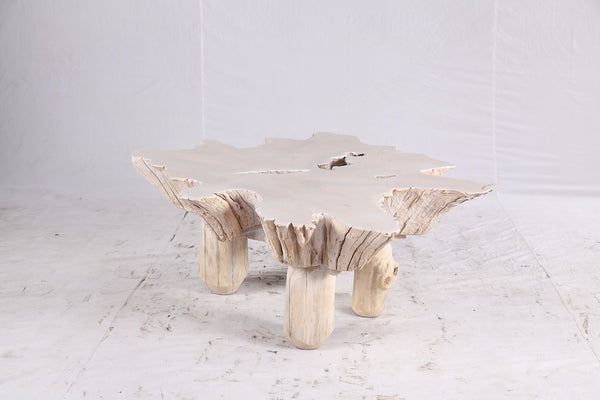 Bleached Free Form Living Edge Coffee Table 34