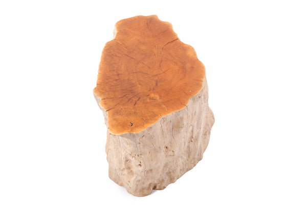 White Wash  Lychee Living Edge Accent or Side Table or Stool 3