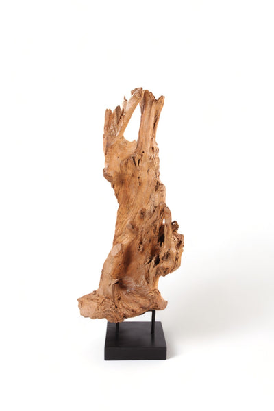 61" Inch Tall Organic Teak Natural Sculpture