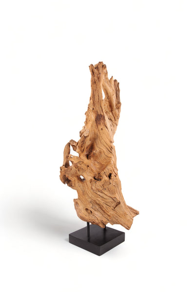 61" Inch Tall Organic Teak Natural Sculpture