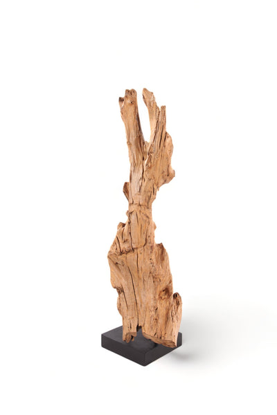 61" Inch Tall Organic Teak Natural Sculpture