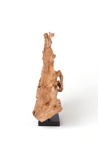 61" Inch Tall Organic Teak Natural Sculpture
