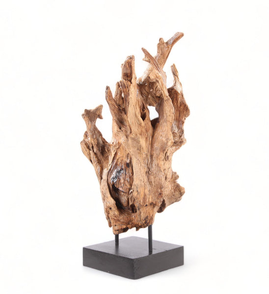 Table Top Organic Teak Sculpture- 38" Inch Tall