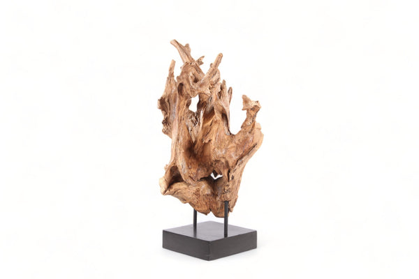 Table Top Organic Teak Sculpture- 38" Inch Tall