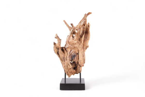 Table Top Organic Teak Sculpture- 38" Inch Tall