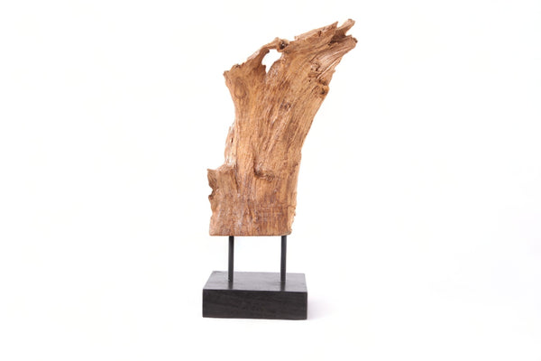 Table Top Organic Teak Sculpture- 34" Inch Tall