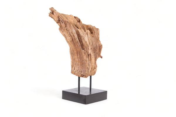 Table Top Organic Teak Sculpture- 34" Inch Tall