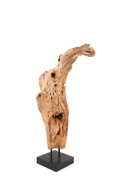 61" Inch Tall Organic Teak Natural Sculpture