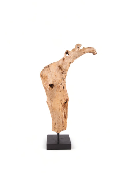 61" Inch Tall Organic Teak Natural Sculpture